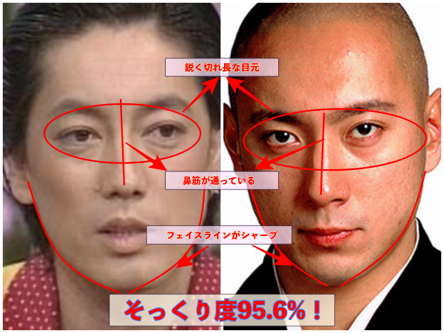 沢田研二と市川團十郎白猿の写真
そっくり度95.6%！記載