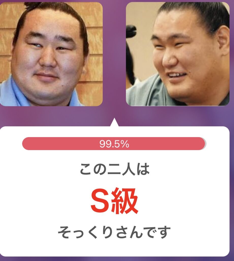 朝青龍と豊昇龍のそっくり度は99.5％！