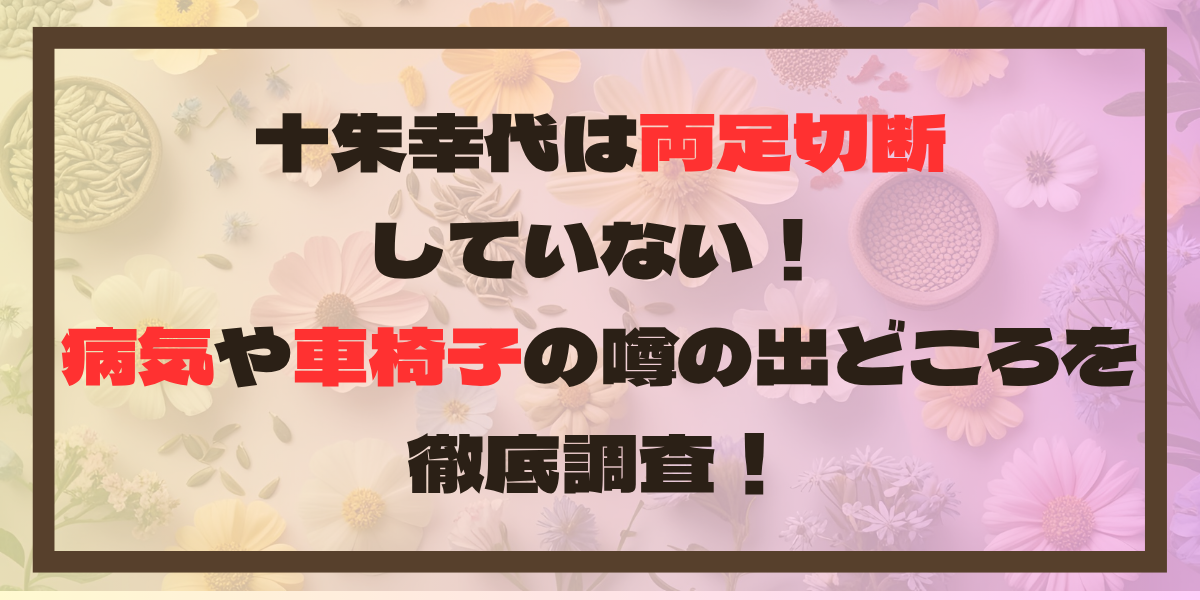 十朱幸代は両足切断していない！病気や車椅子の噂の出どころを徹底調査！