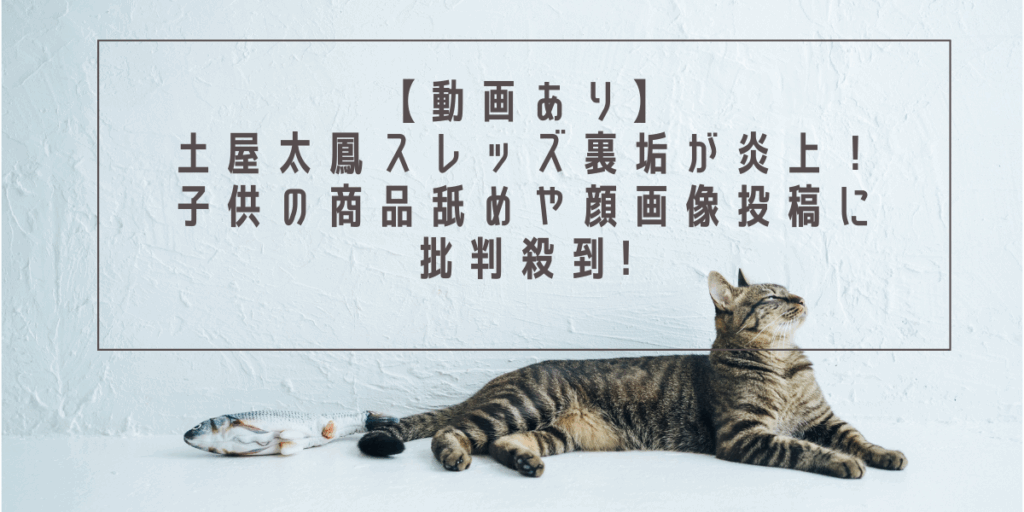 【動画あり】土屋太鳳スレッズ裏垢が炎上！子供の商品舐めや顔画像投稿に批判殺到!