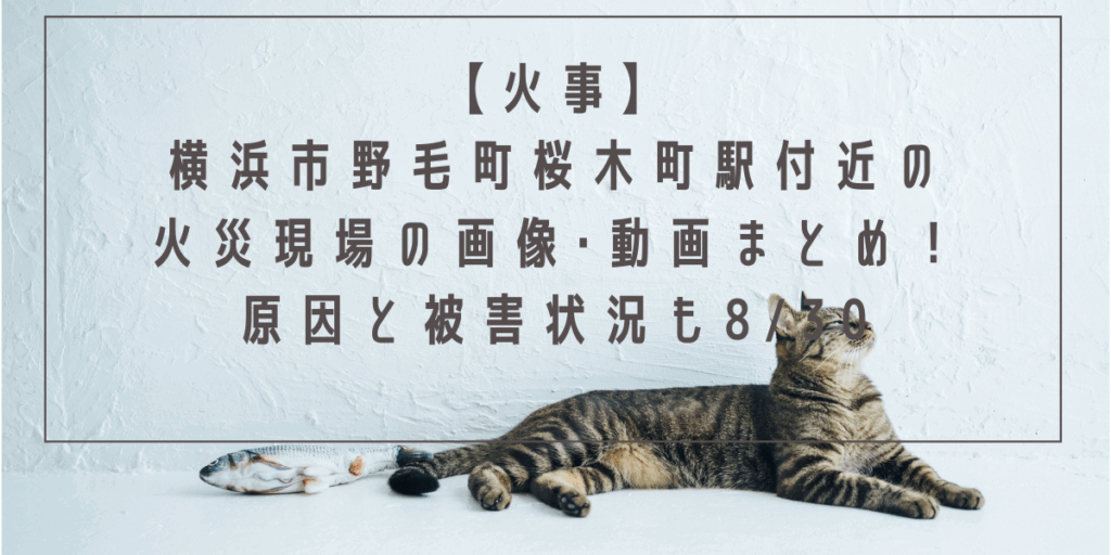 【火事】横浜市野毛町桜木町駅付近の火災現場の画像･動画まとめ！原因と被害状況も8/30