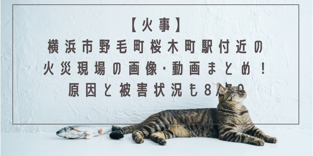 【火事】横浜市野毛町桜木町駅付近の火災現場の画像･動画まとめ！原因と被害状況も8/30