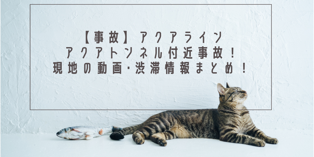 【事故】アクアラインアクアトンネル付近事故！現地の画像･渋滞情報まとめ！