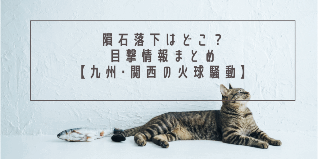 隕石落下はどこ？目撃情報まとめ【九州･関西の火球騒動】