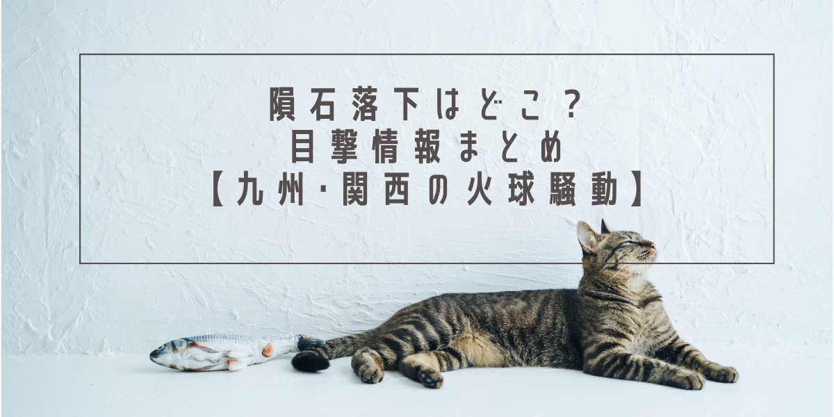 隕石落下はどこ？目撃情報まとめ【九州･関西の火球騒動】