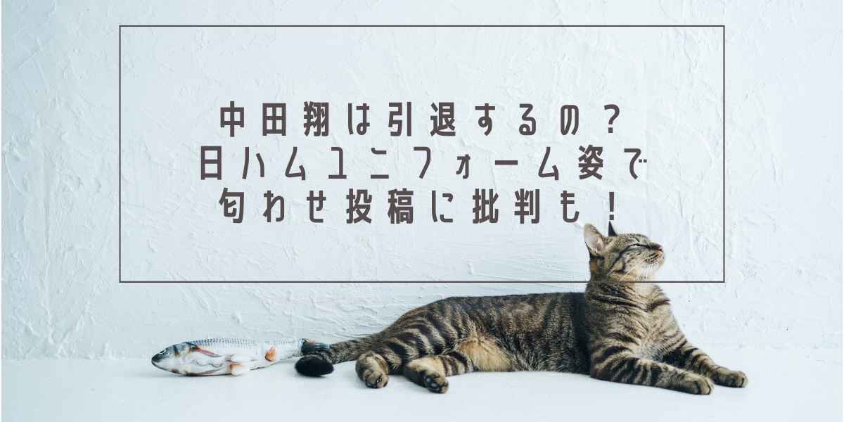 中田翔は引退するの？日ハムユニフォーム姿で匂わせ投稿に批判も！