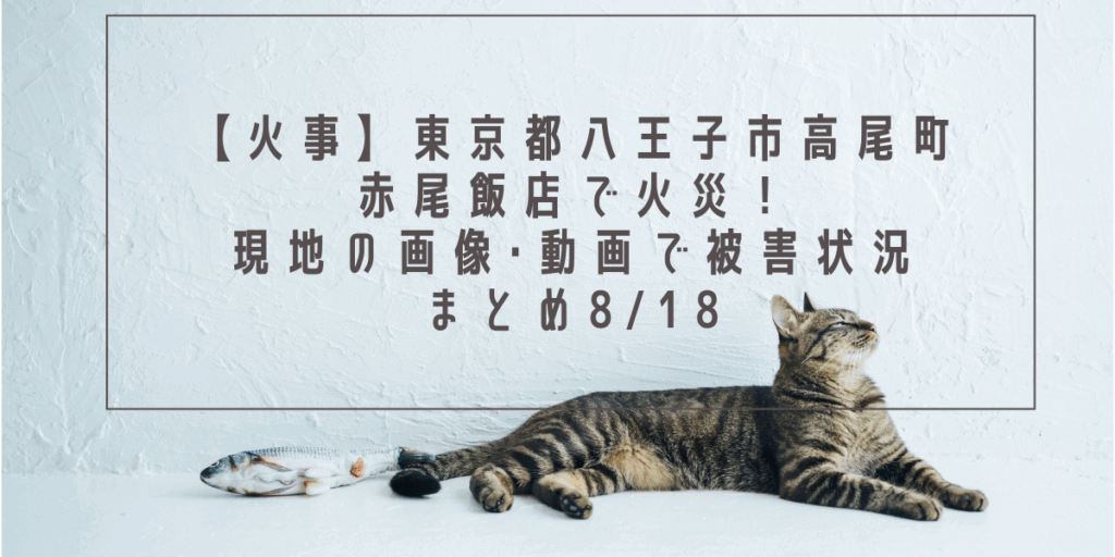 【火事】東京都八王子市高尾町赤尾飯店で火災！現地の画像･動画で被害状況まとめ8/18