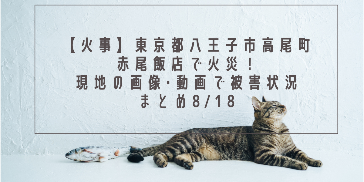 【火事】東京都八王子市高尾町赤尾飯店で火災！現地の画像･動画で被害状況まとめ8/18