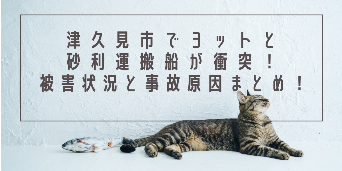 津久見市でヨットと砂利運搬船が衝突！被害状況と事故原因まとめ！