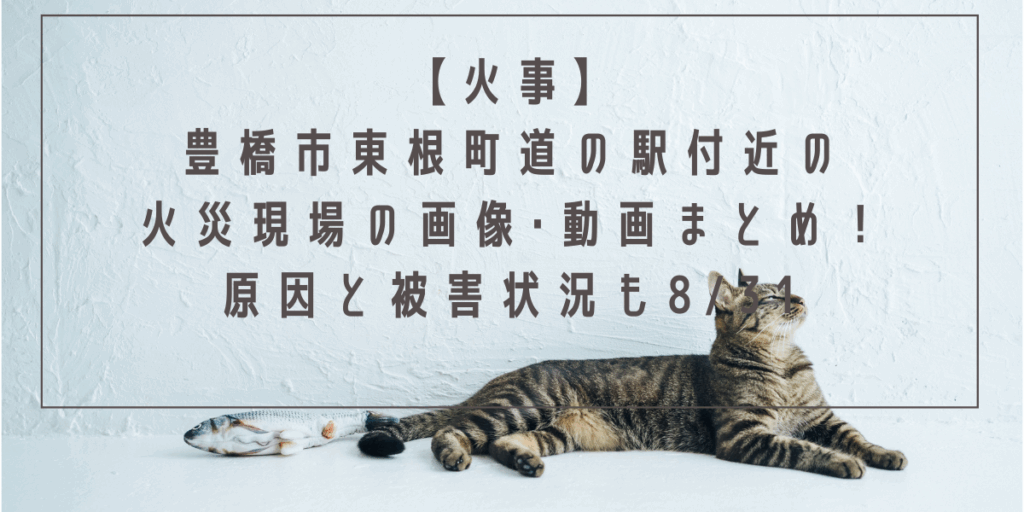 【火事】豊橋市東根町道の駅付近の火災現場の画像･動画まとめ！原因と被害状況も8/31