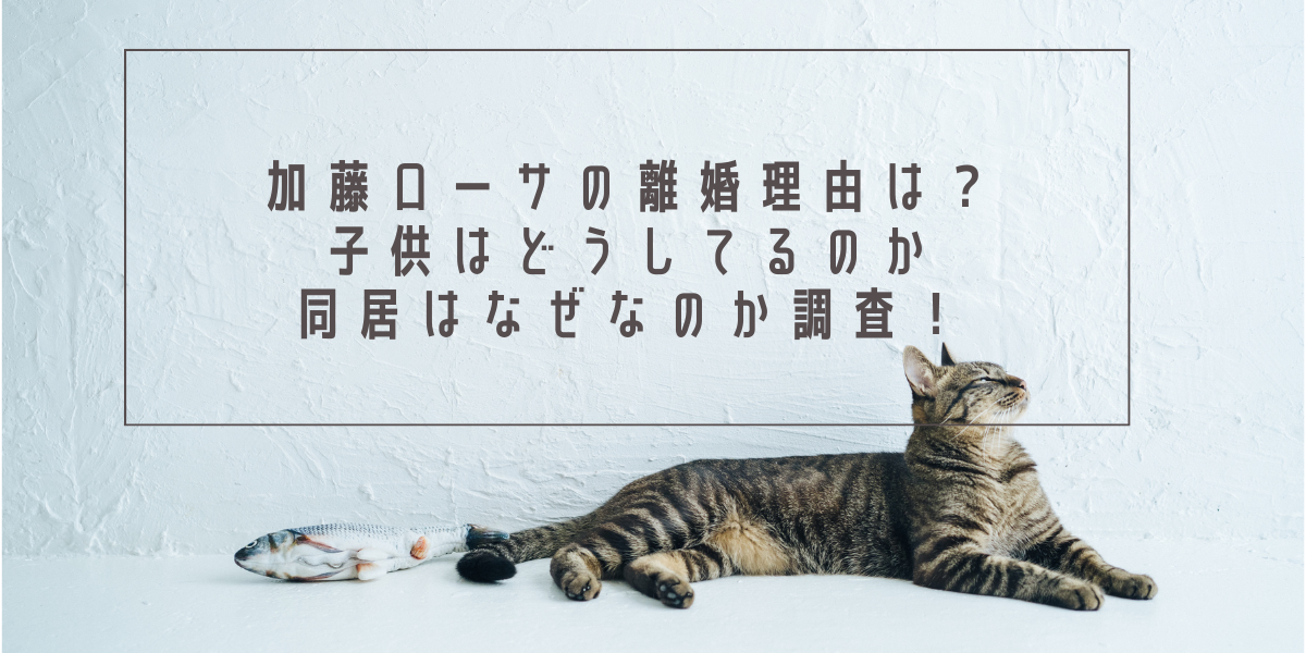 加藤ローサの離婚理由は？子供はどうしてるのか同居はなぜなのか調査！