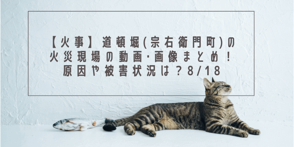 【火事】道頓堀(宗右衛門町)の火災現場の動画･画像まとめ！原因や被害状況は？8/18