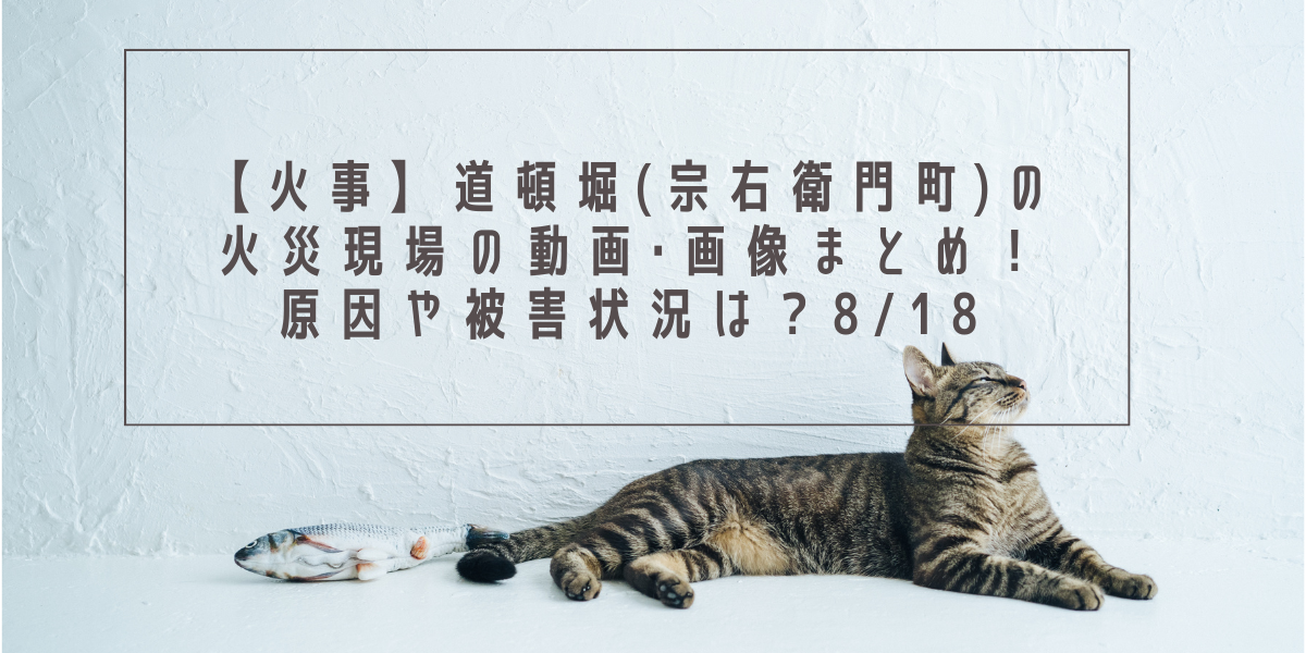 【火事】道頓堀(宗右衛門町)の火災現場の動画･画像まとめ！原因や被害状況は？8/18