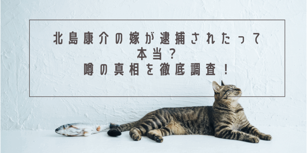 北島康介の嫁が逮捕されたって本当？噂の真相を徹底調査！