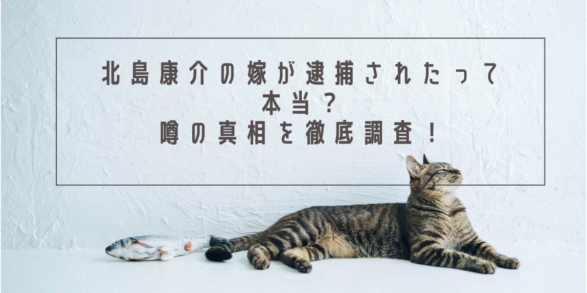北島康介の嫁が逮捕されたって本当？噂の真相を徹底調査！