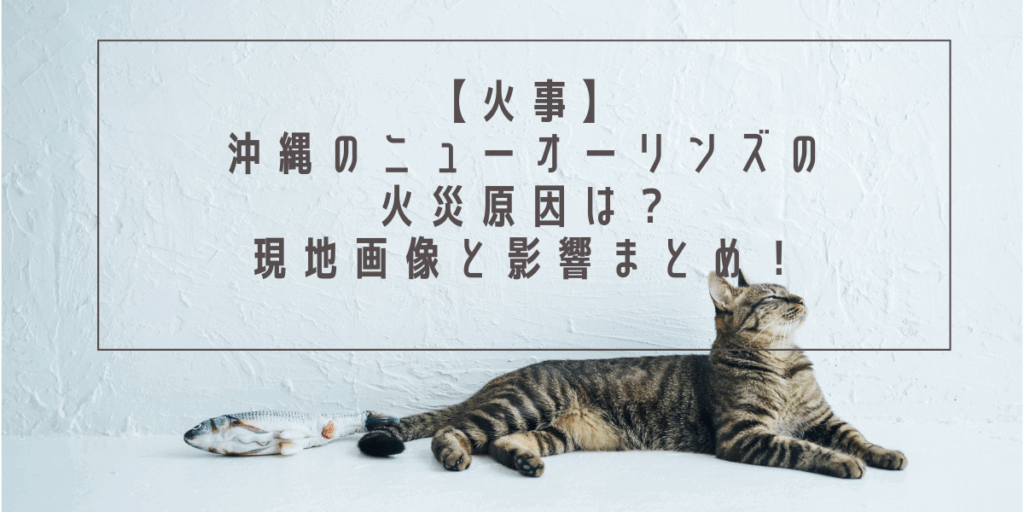 【火事】沖縄のニューオーリンズの火災原因は？現地画像と影響まとめ！