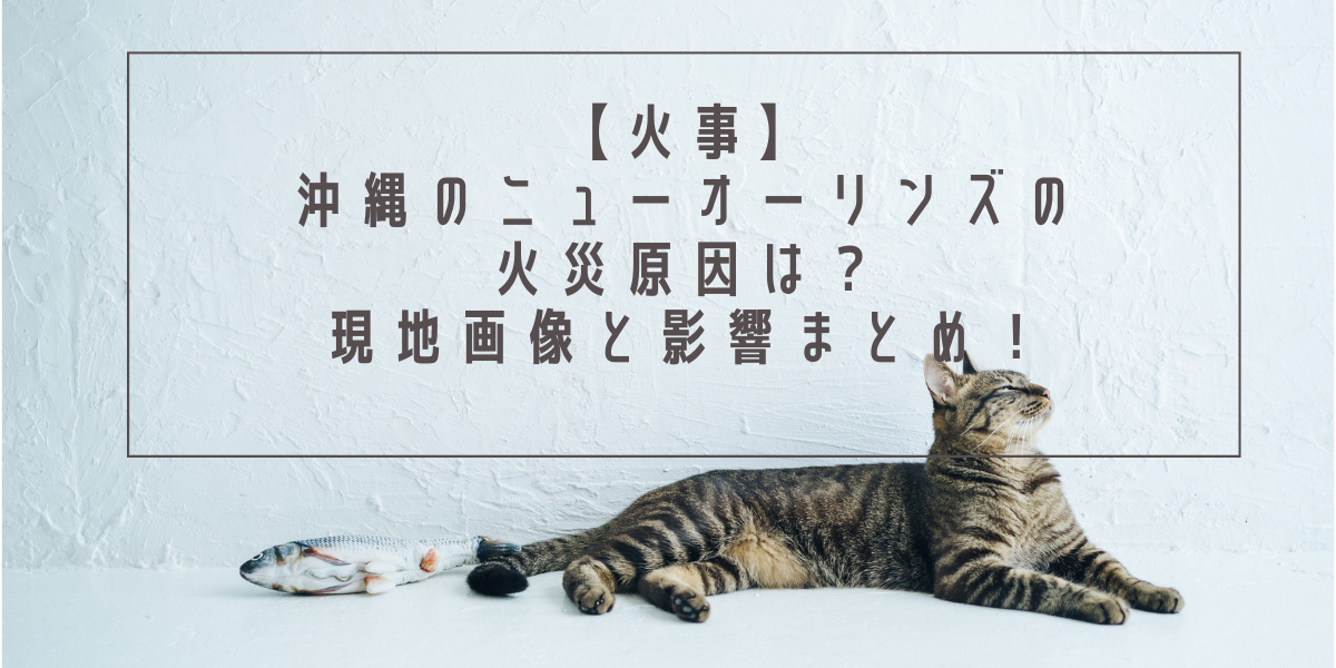 【火事】沖縄のニューオーリンズの火災原因は？現地画像と影響まとめ！