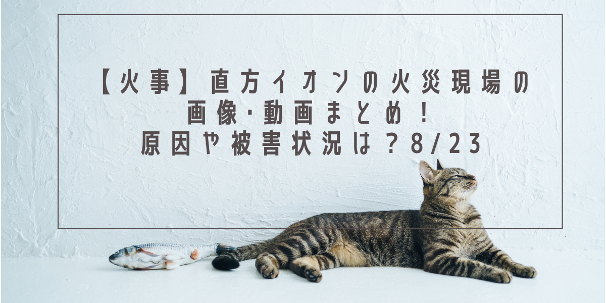 【火事】直方イオンの火災現場の画像･動画まとめ！原因や被害状況は？8/23