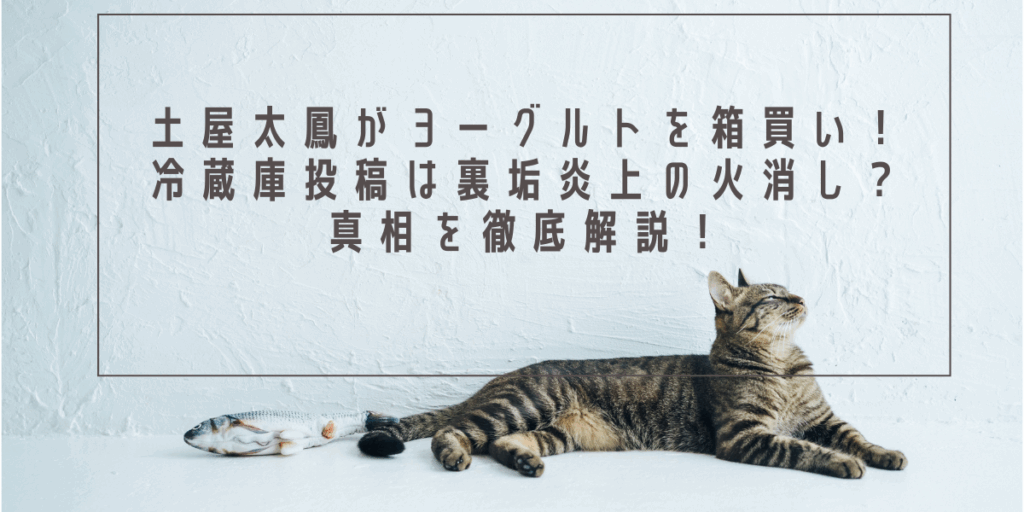土屋太鳳がヨーグルトを箱買い！冷蔵庫投稿は裏垢炎上の火消し？真相を徹底解説！
