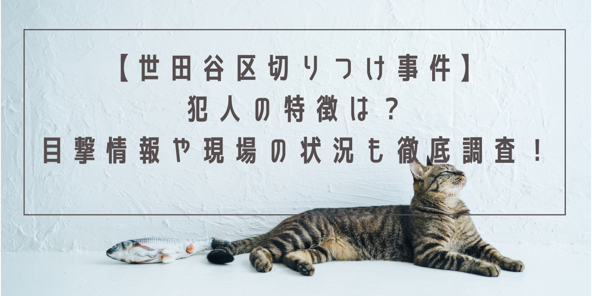 【世田谷区切りつけ事件】犯人の特徴は？目撃情報や現場の状況も徹底調査！