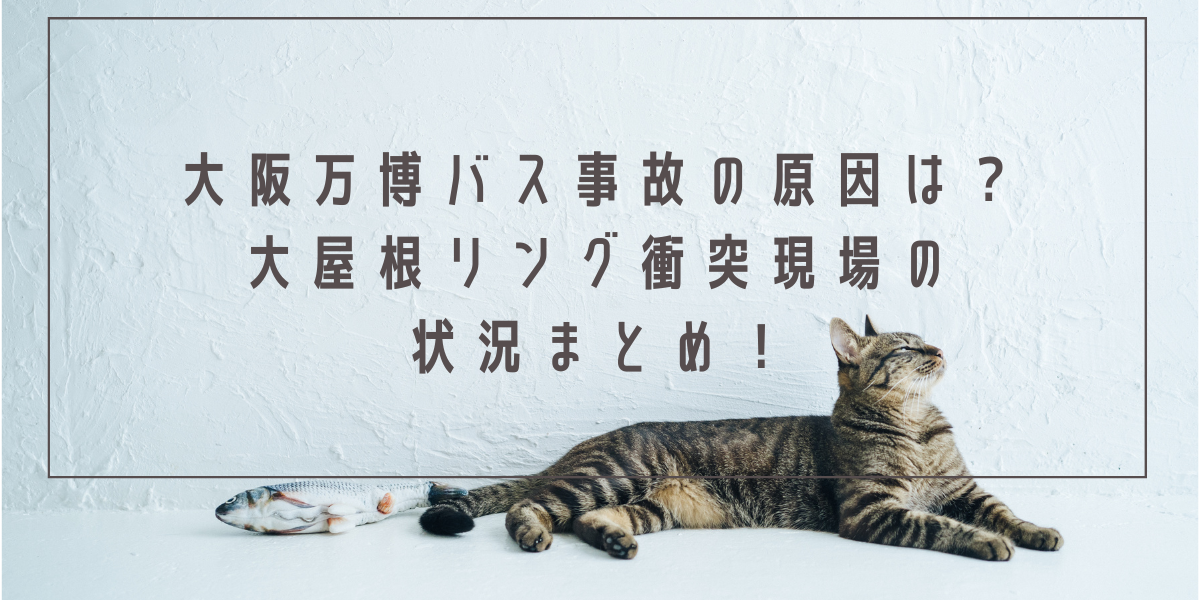 大阪万博バス事故の原因は？大屋根リング衝突現場の状況まとめ！