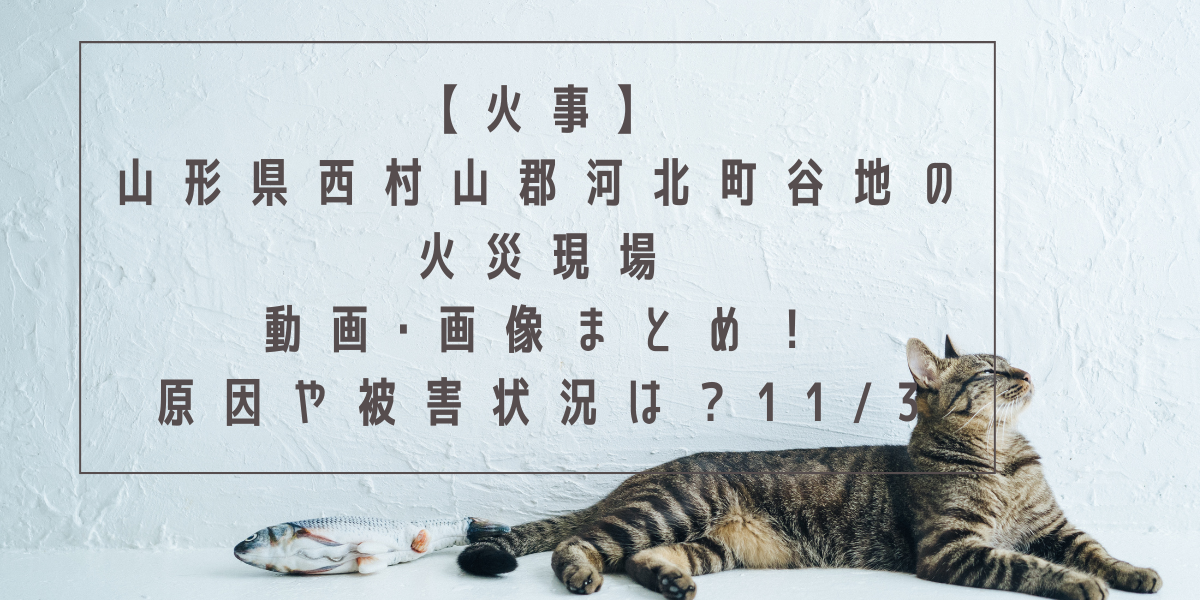 【火事】山形県西村山郡河北町谷地の火災現場の動画･画像まとめ！原因や被害状況は？11/3